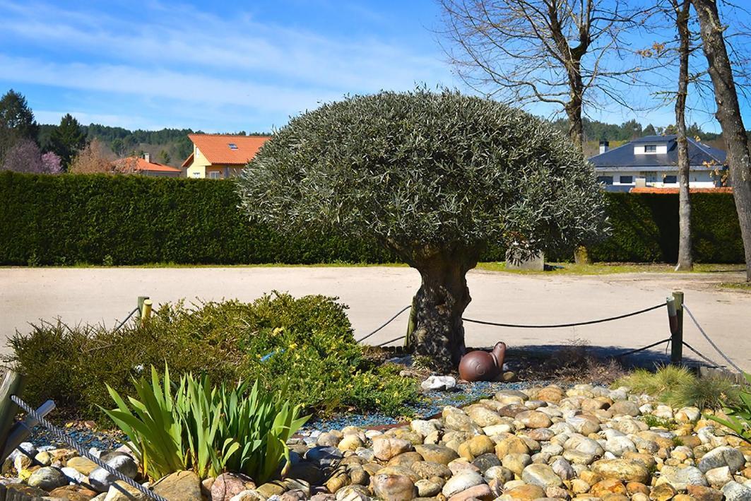 Hotel Os Caracoles Pereiro de Aguiar エクステリア 写真